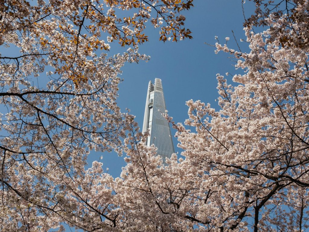 Corea en primavera