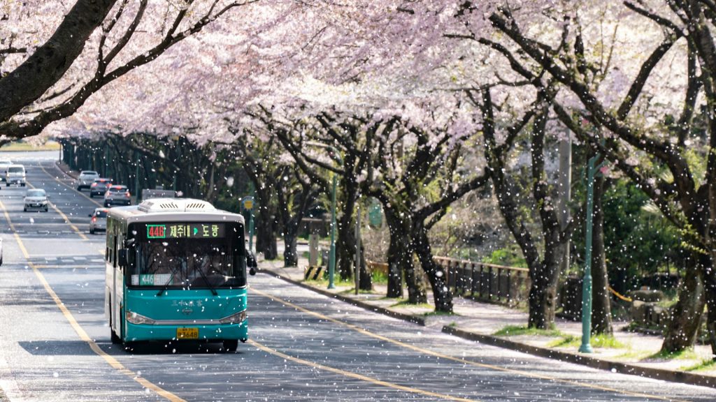 Cuándo viajar a Corea