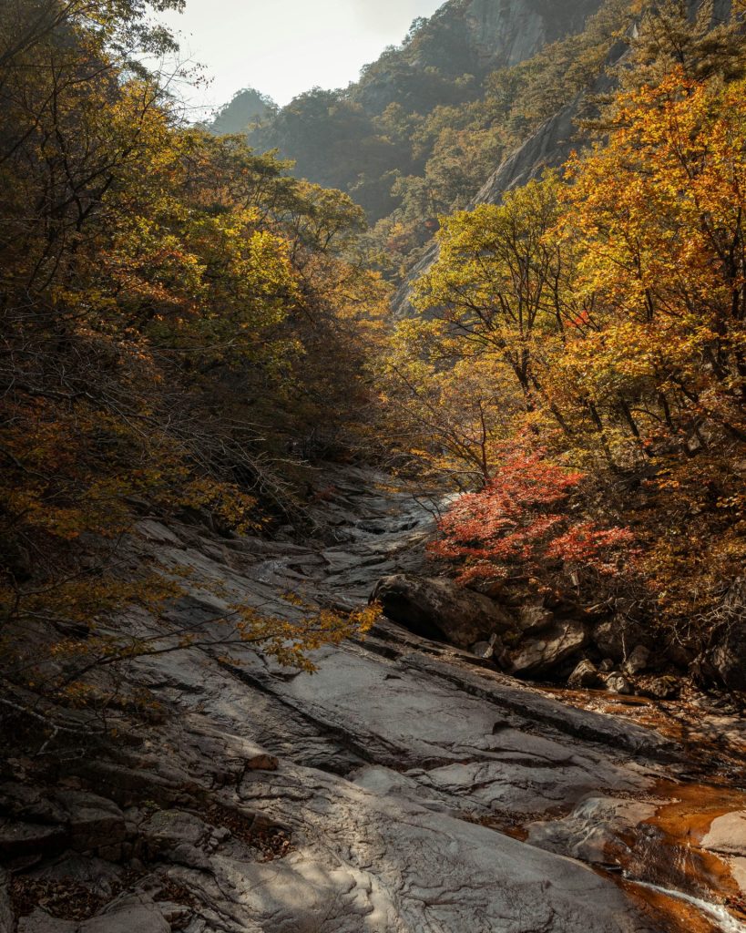 Corea en otoño